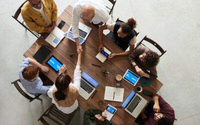 Business Entities: Finding the Perfect Match